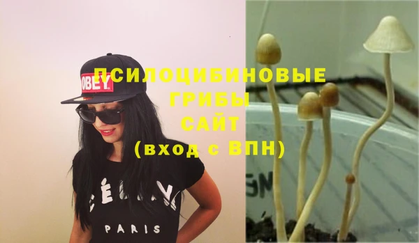 герыч Абаза
