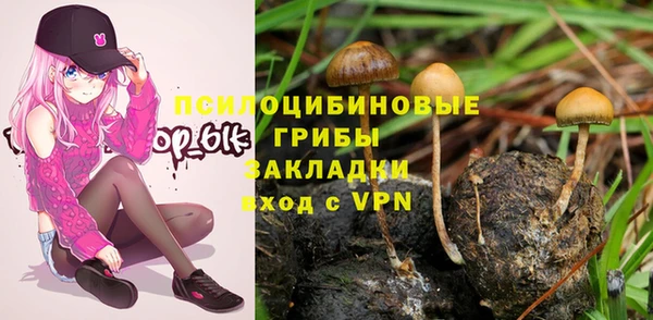 мет Абинск