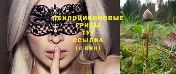 мет Абинск