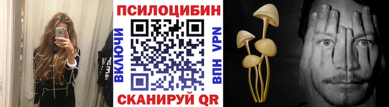 Галлюциногенные грибы MAGIC MUSHROOMS  сколько стоит  hydra вход  Абинск 